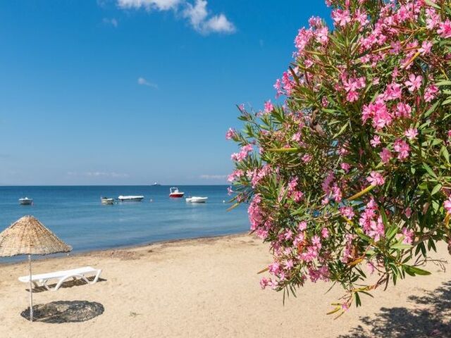 ERDEK AVŞA ADASI TURU