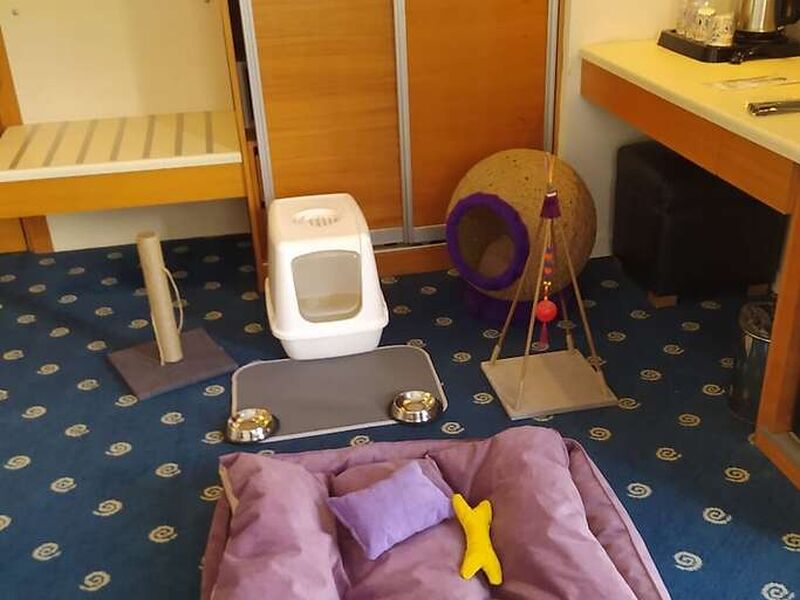 Best Western Plus Hotel Konak