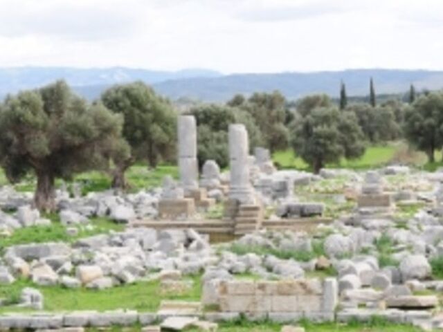 GÜNÜBİRLİK SIĞACIK TEOS BADEMLER KÖYÜ TURU