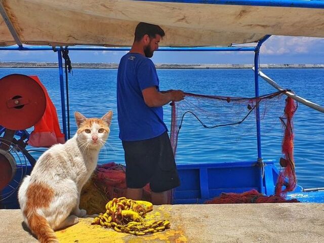 Kuşadası - Samos Konaklamalı Ramazan Bayramı Turu