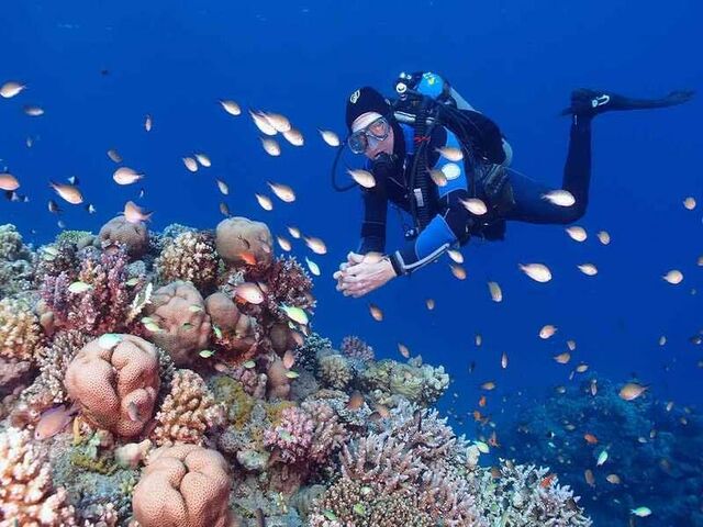 Sharm El Sheikh Yaz Dönemi