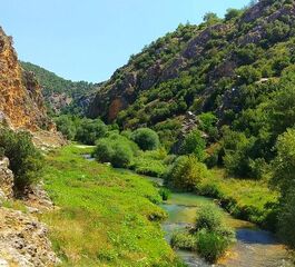 Ulubey Kanyon Taşyaran Vadisi Turu (Günübirlik)