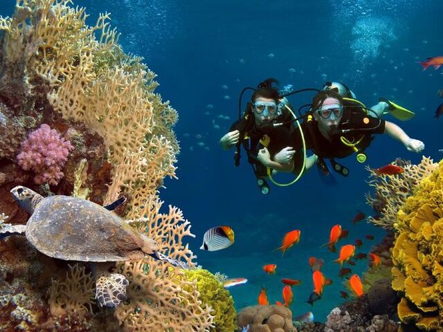 Sharm El Sheikh Turu