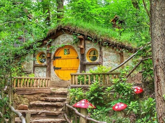 YILBAŞI ABANT- KARTALKAYA- KARTEPE- ORMANYA ULUDAĞ TURU