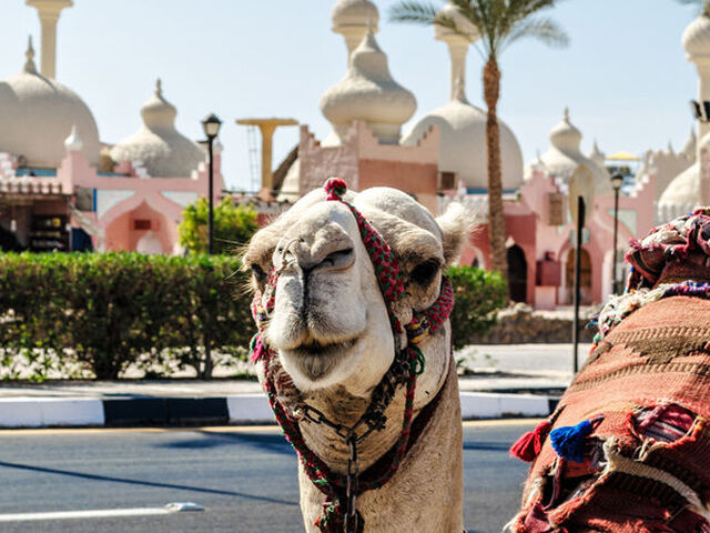 Sharm El Sheikh - Sunexpress Havayolları İle 3 Gece 4 Gün - İzmir Çıkışlı