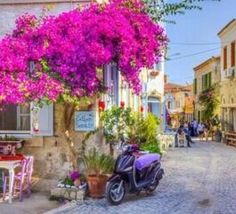 ADRAMİS THERMAL AYVALIK-KAZDAĞLARI- TURU