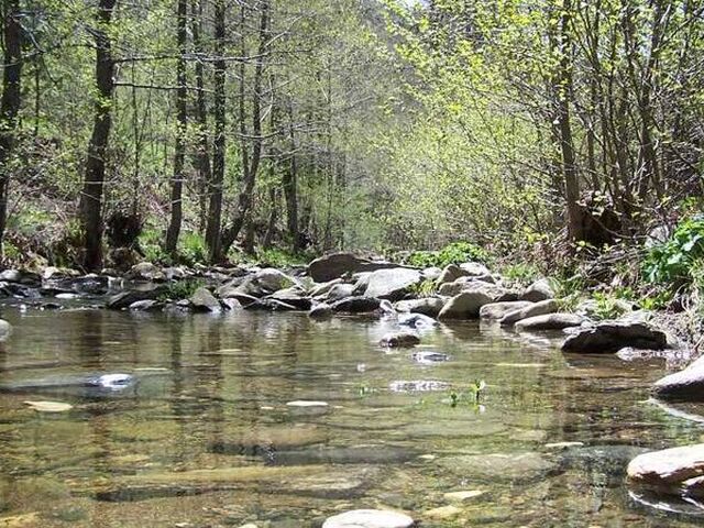 Kazdağları, Yeşilyurt Köyü, Cunda Turu (1 Gece Termal Otelde Konaklama)